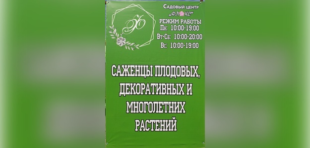 Питомник растений «Флокс»